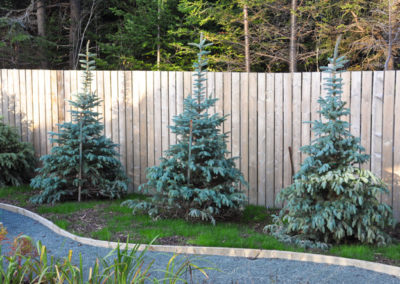 RLD Commercial Projects Img 13