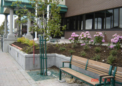 RLD Commercial Projects Img 16