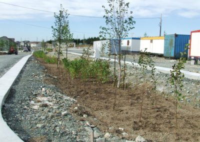 RLD Commercial Projects Img 20