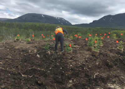 RLD Commercial Projects Img 4