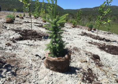 RLD Commercial Projects Img 44