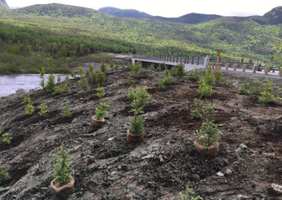 RLD Commercial Projects Img 45