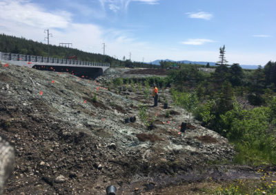 RLD Commercial Projects Img 46