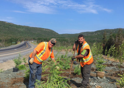 RLD Commercial Projects Img 8