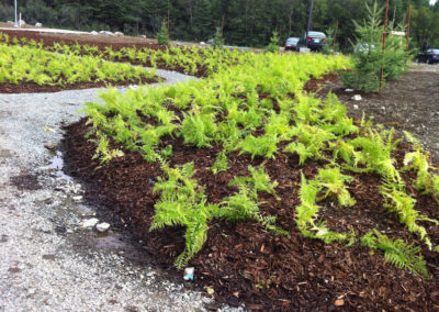 RLD Commercial Projects Img 9